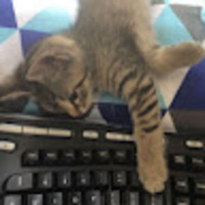 Meet your Posher, Haining